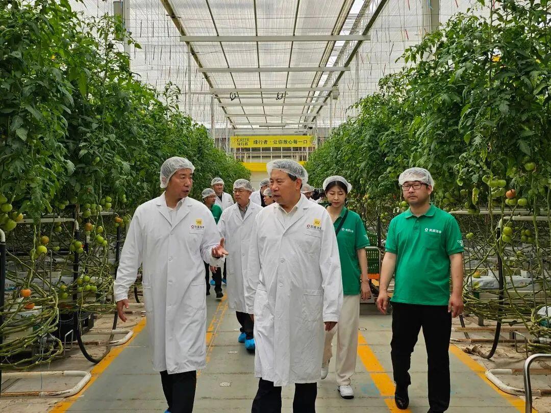 科技賦能農(nóng)業(yè)新篇 劉中會副主任委員赴凱盛浩豐考察調(diào)研農(nóng)業(yè)種植技術開發(fā)