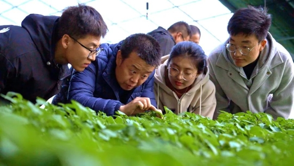 科技小院賦能薯鄉，甘肅通渭馬鈴薯產業迎來新機——全省農技協組織和科技小院建設工作推進會實地調研側記