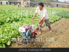 山區(qū)丘陵新動力 6匹全齒輪耕地機助力大棚農(nóng)業(yè)增效