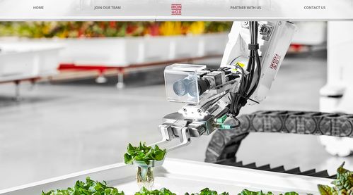 溫室農場自動化種植 美國農業機器人公司 Iron Ox 獲 2000 萬美元 C 輪融資，重塑大棚農業未來